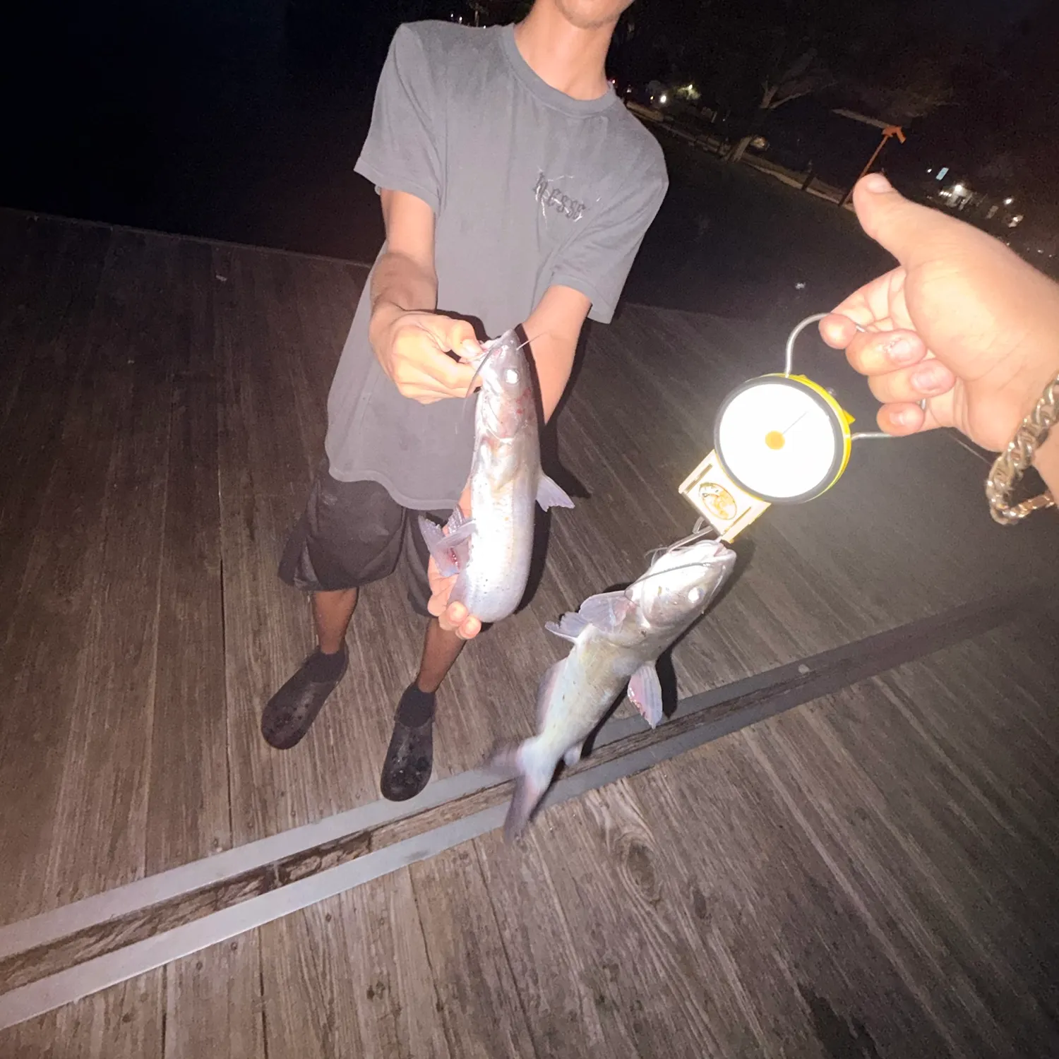 Channel catfish caught on Fishbrain