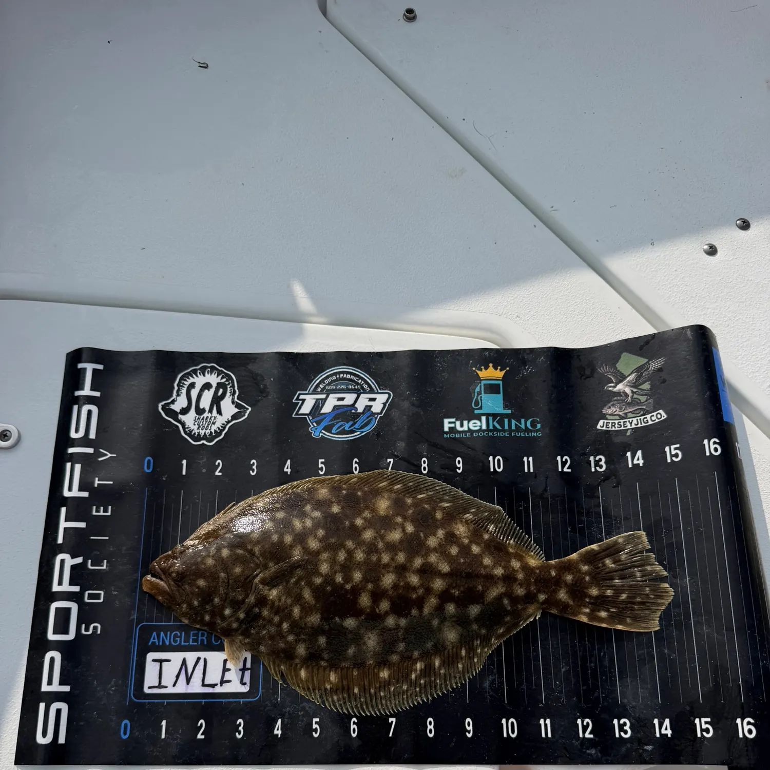 Summer flounder caught on Fishbrain