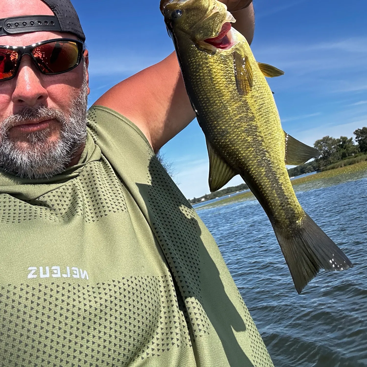 Largemouth bass caught on Fishbrain