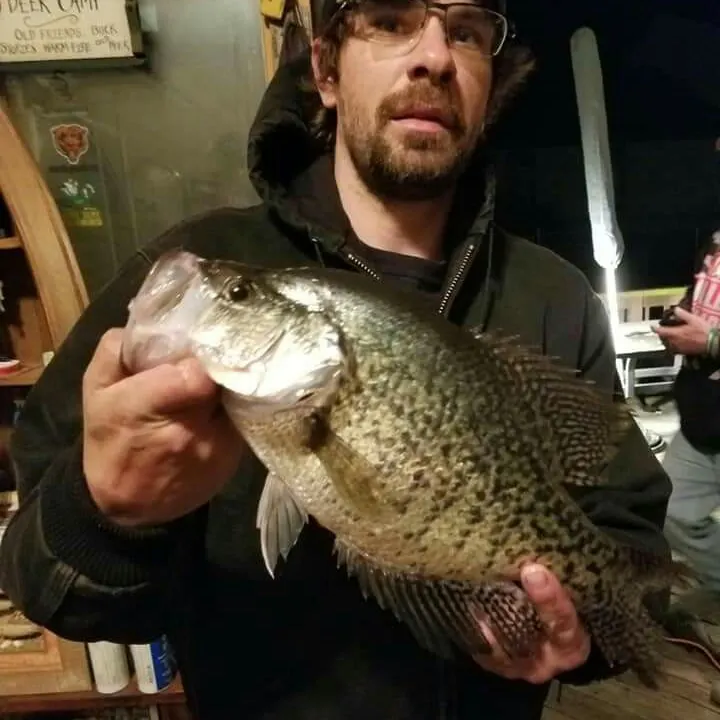 angler catch