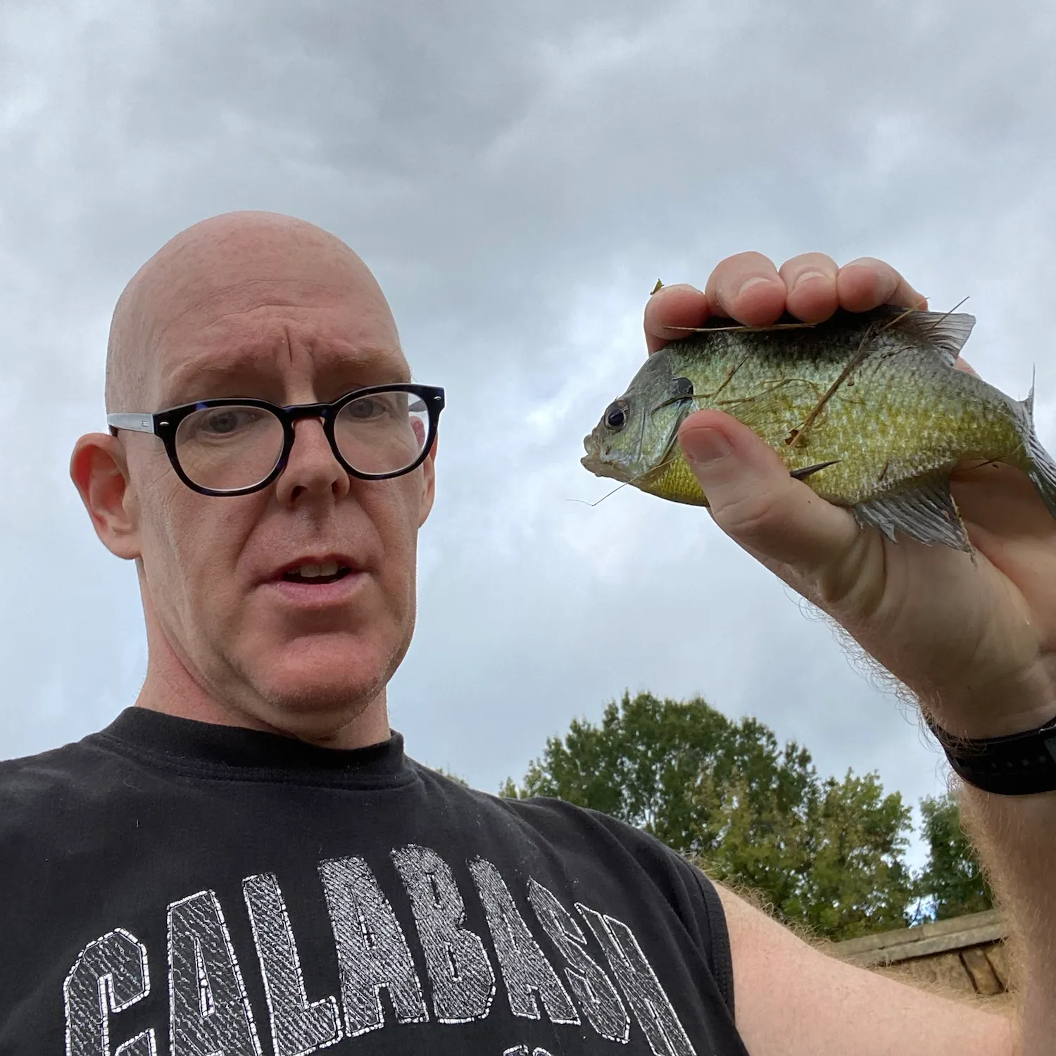 Bluegill caught on Fishbrain