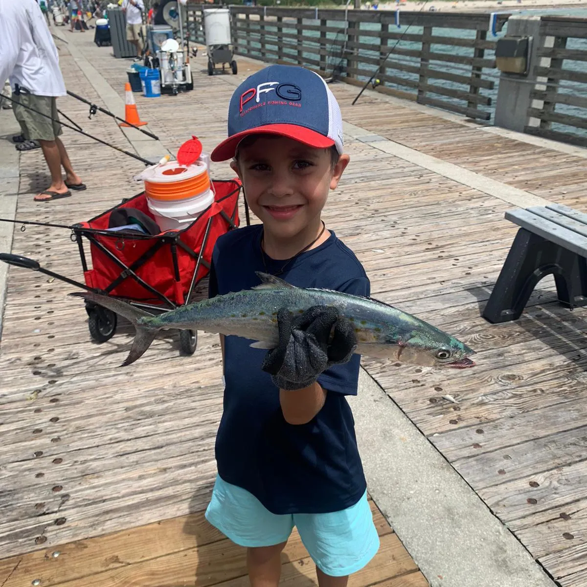 King mackerel caught on Fishbrain