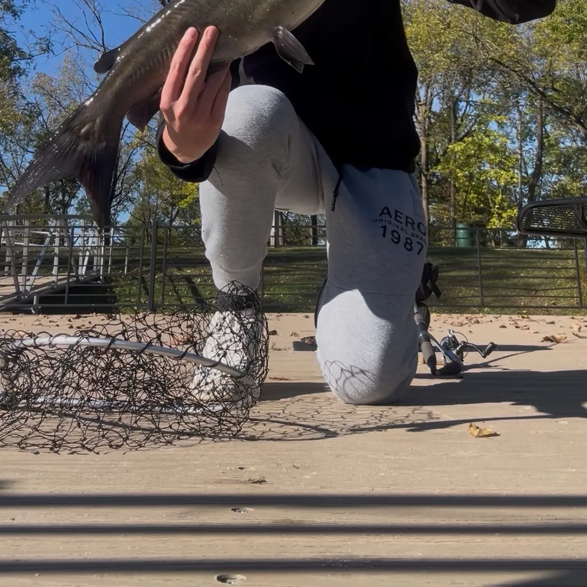 Channel catfish caught on Fishbrain