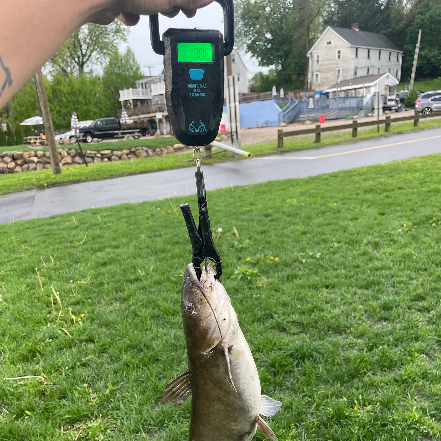 catch