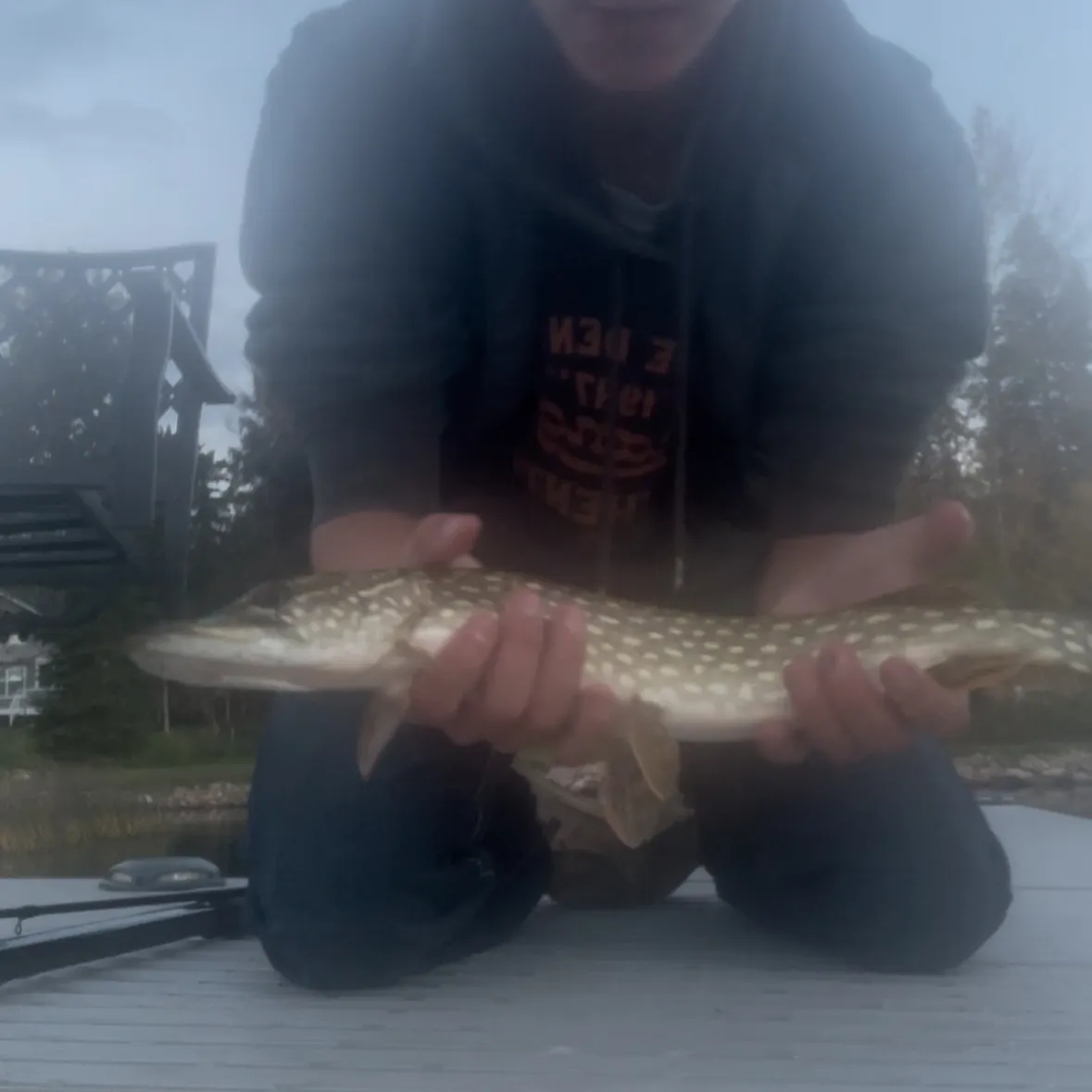 Northern pike caught on Fishbrain