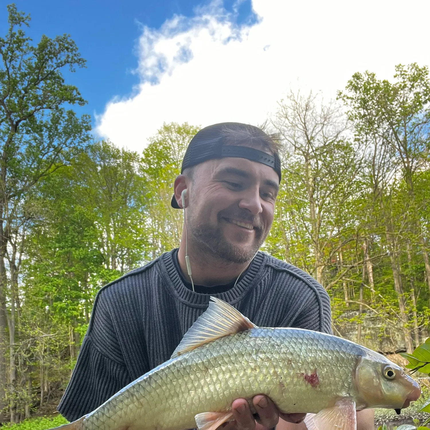 The most recent Shorthead redhorse catches on Fishbrain