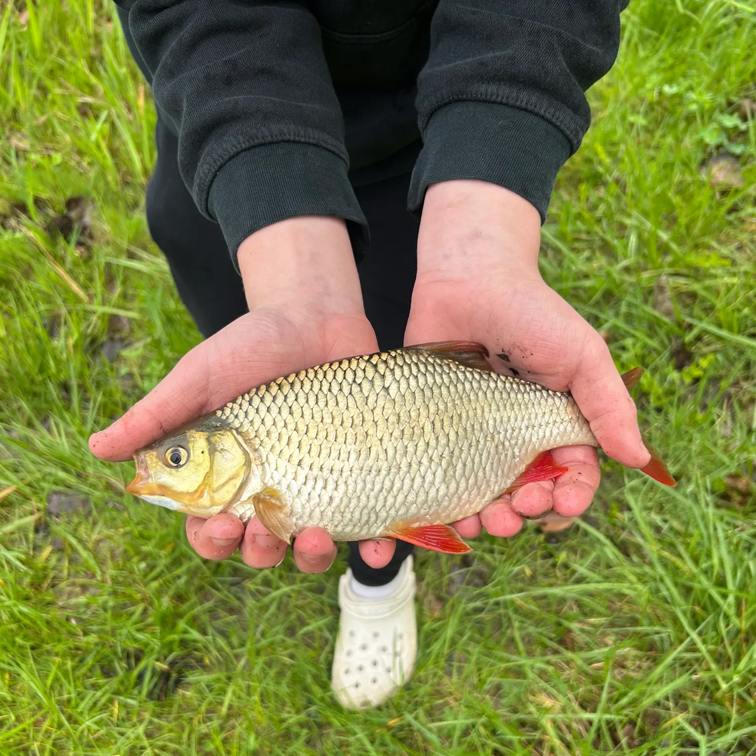 most liked catch image