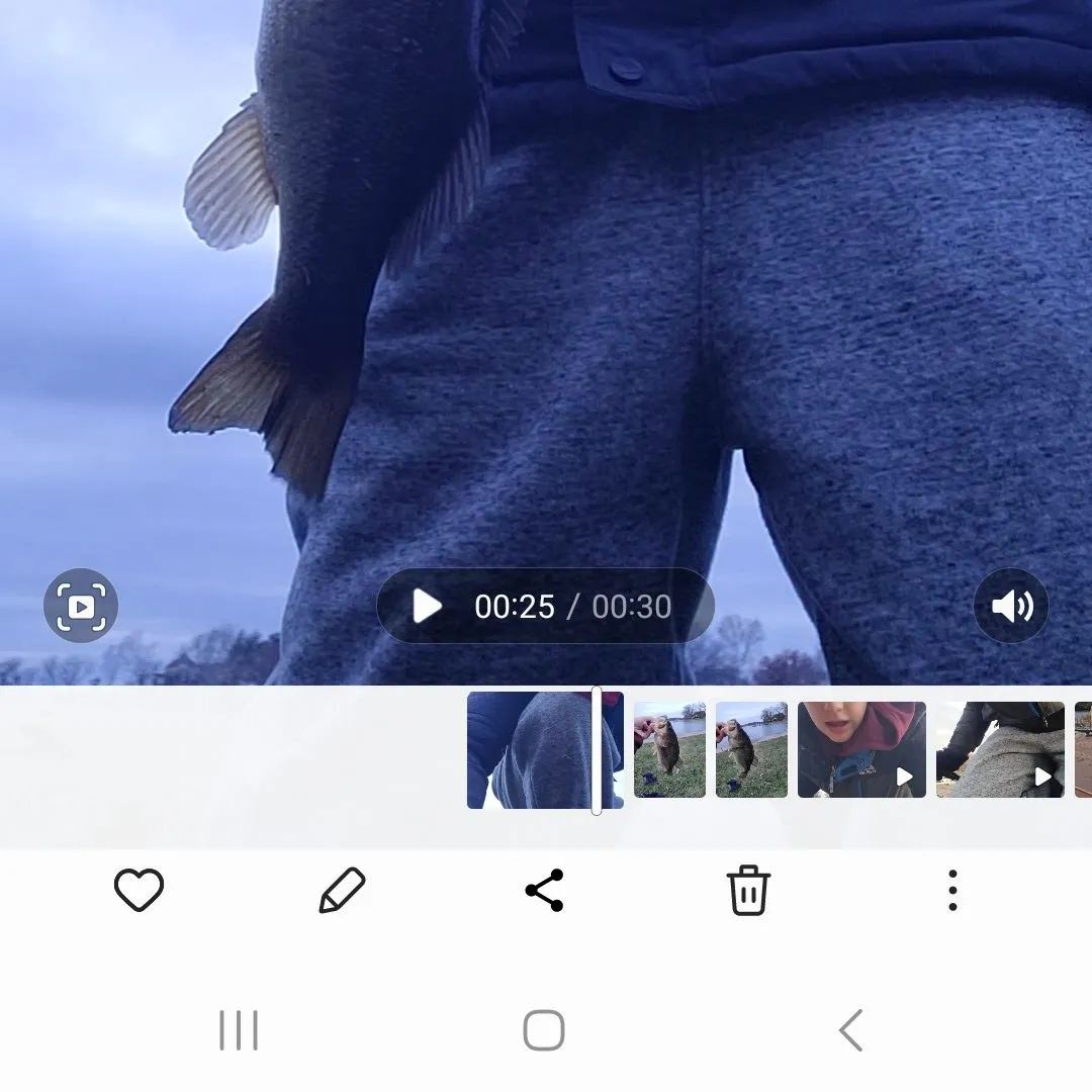 recently logged catches