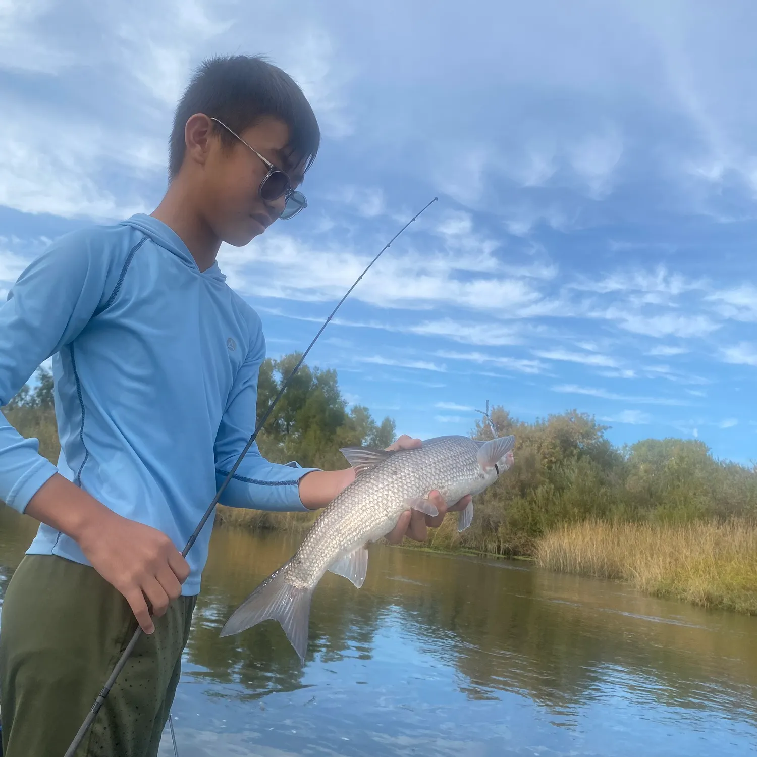 The most recent Splittail catches on Fishbrain