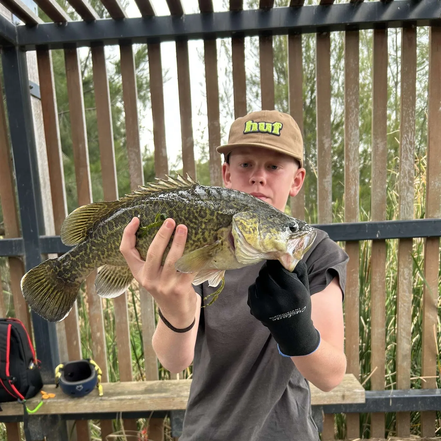 most liked catch image
