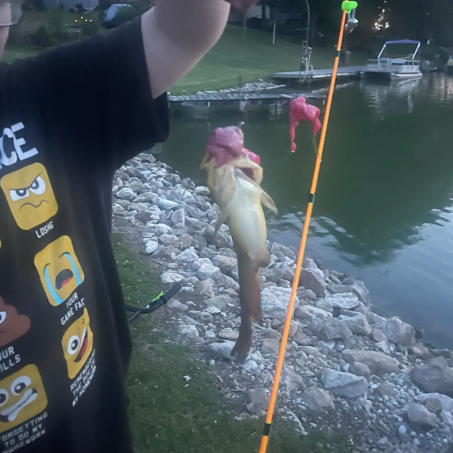 most liked catch image