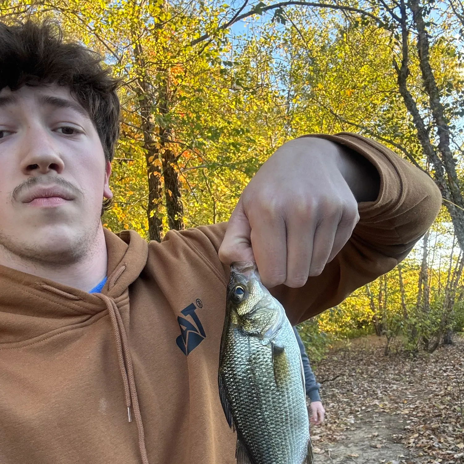 White perch caught on Fishbrain