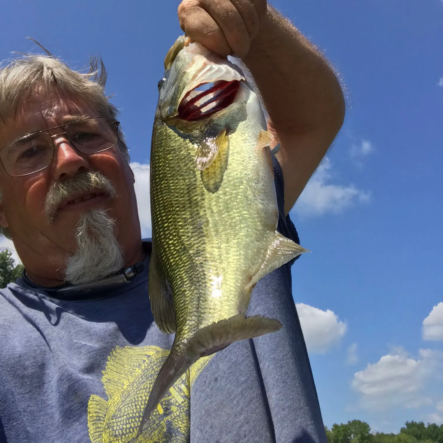 Largemouth bass caught on Fishbrain