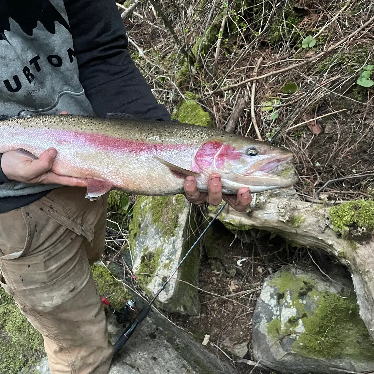 angler catch