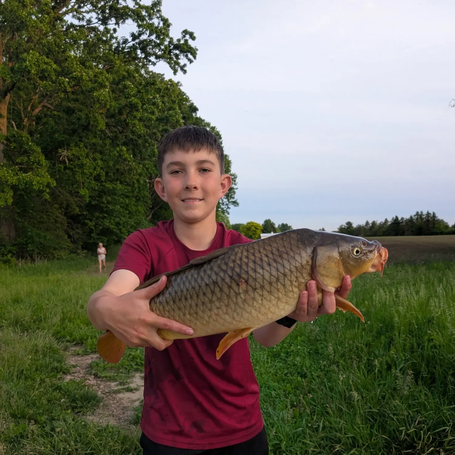 The most recent Common carp catches on Fishbrain