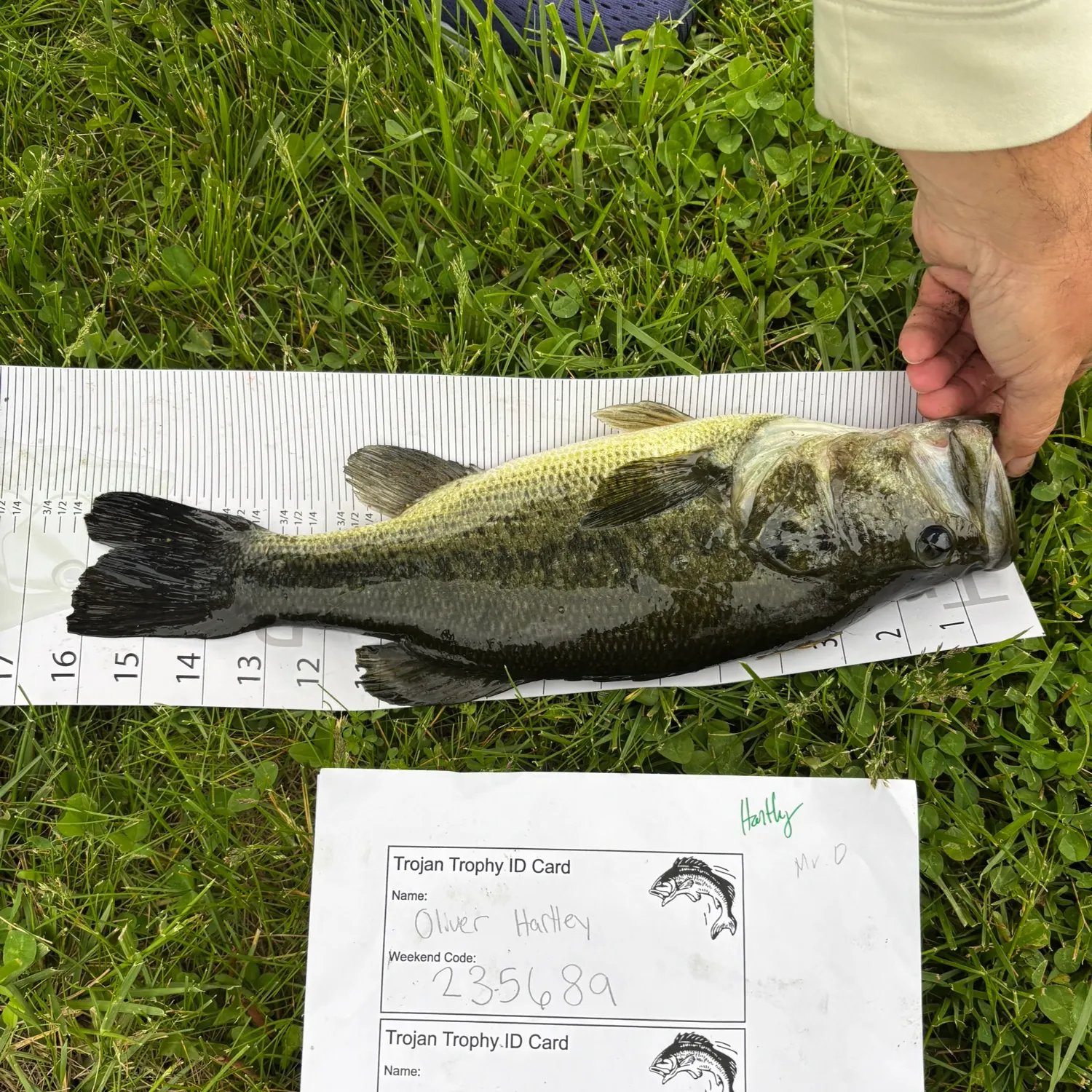 recently logged catches