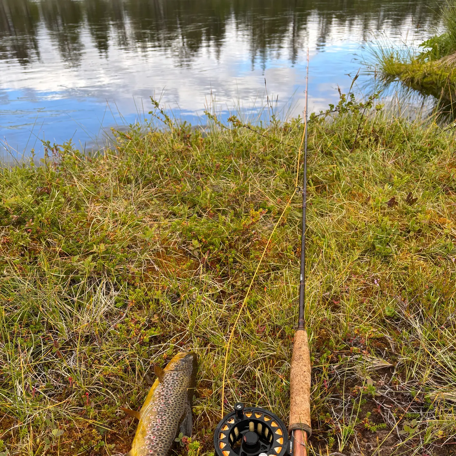 Lake trout caught on Fishbrain