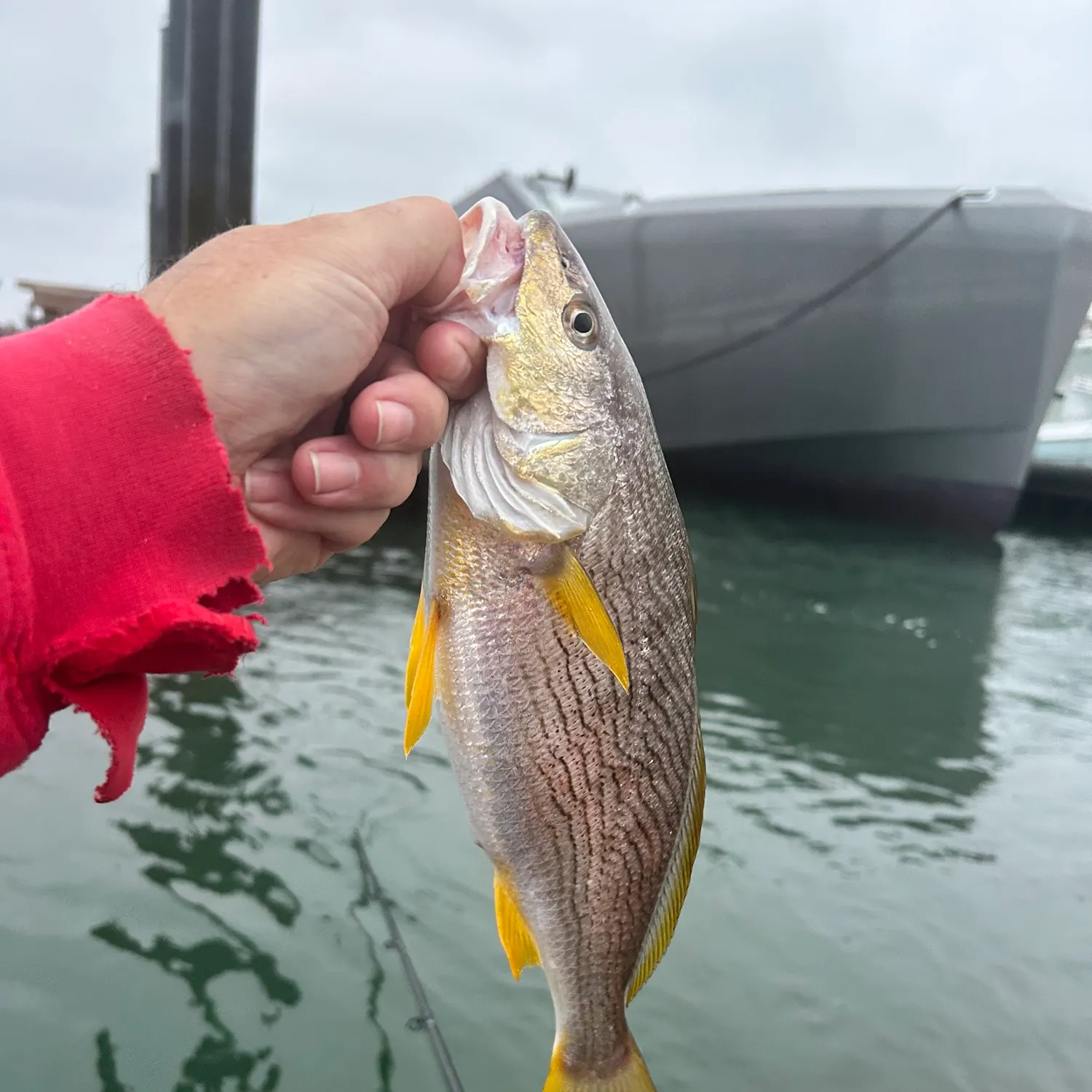catch