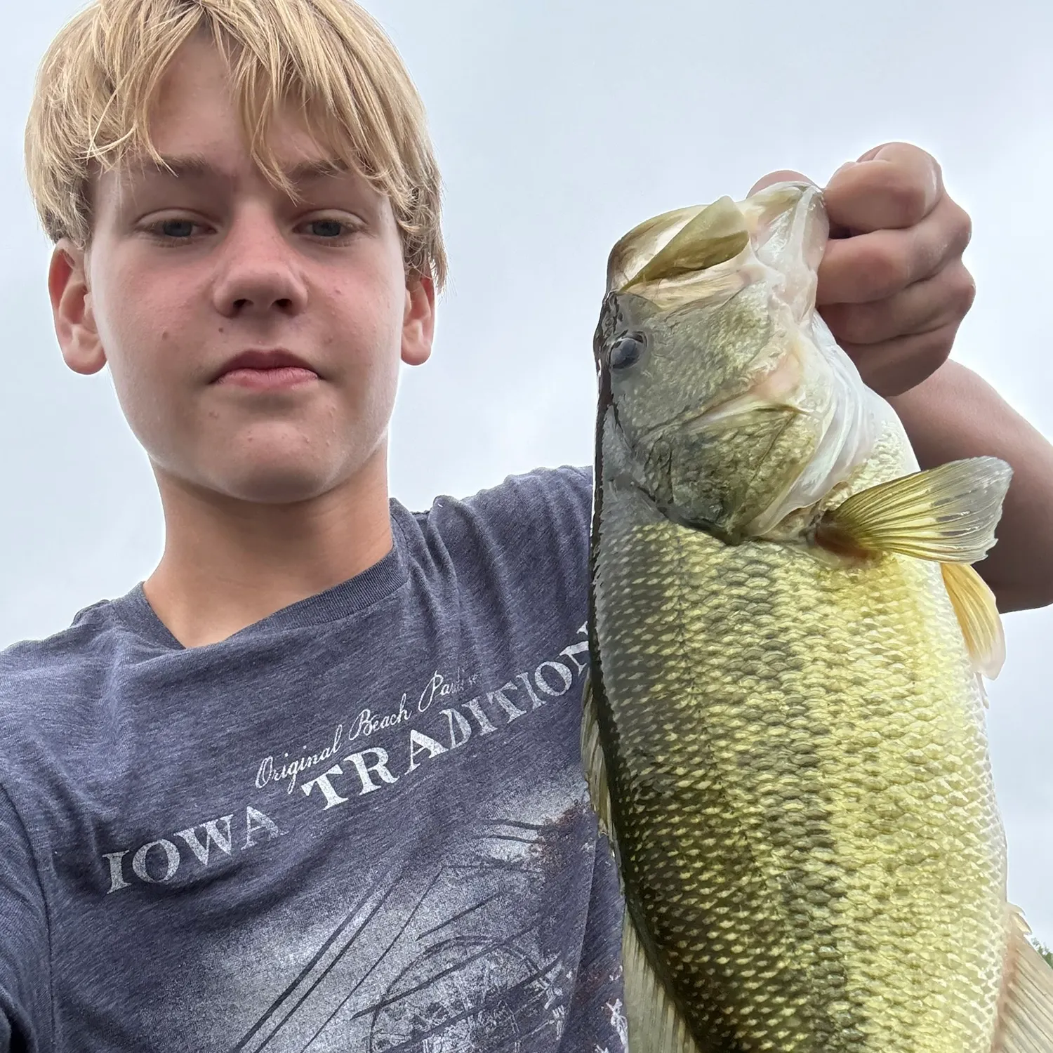 Largemouth bass caught on Fishbrain