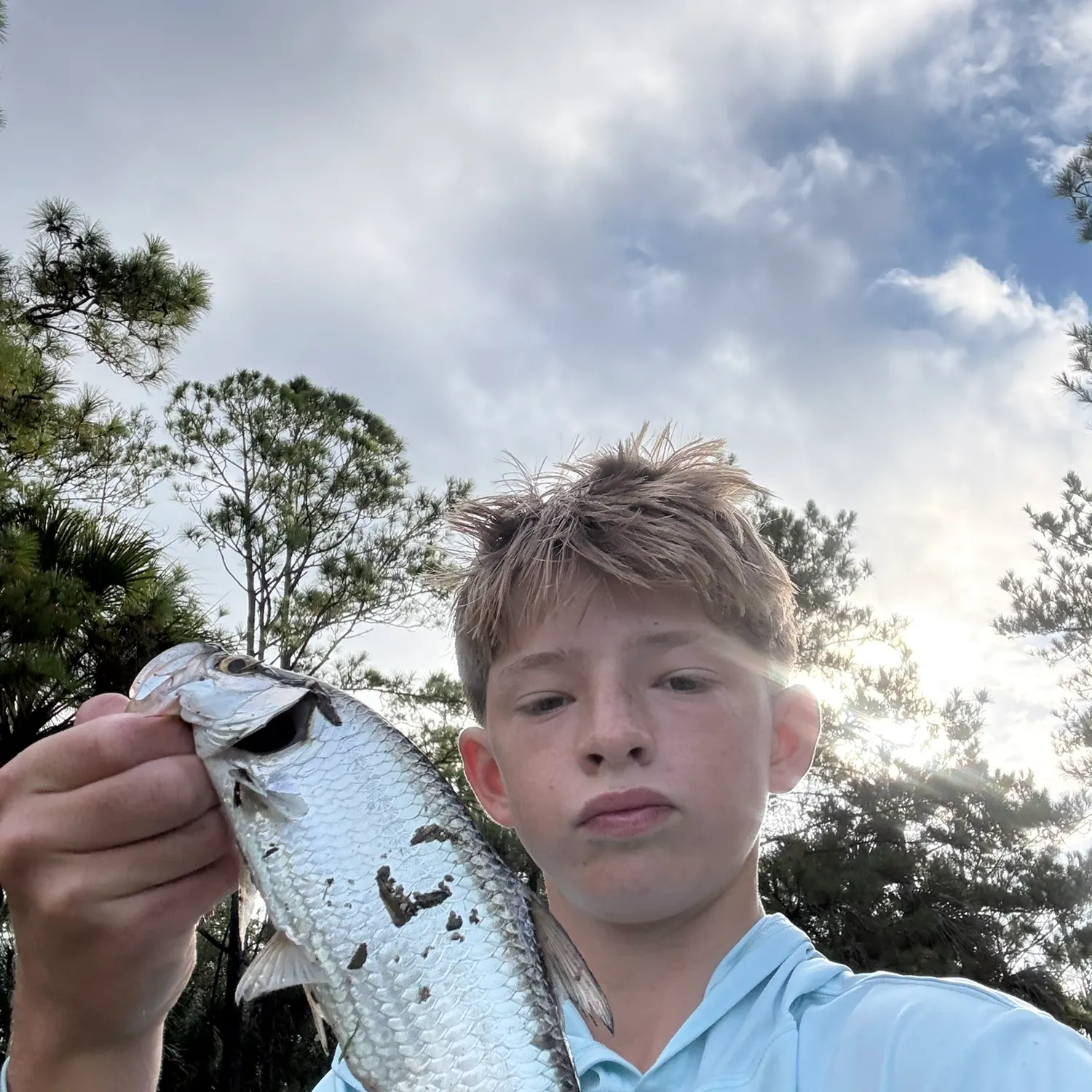 The most recent Tarpon catches on Fishbrain