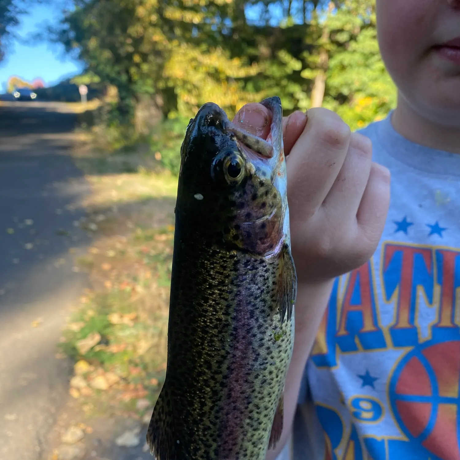 Fish caught on Fishbrain