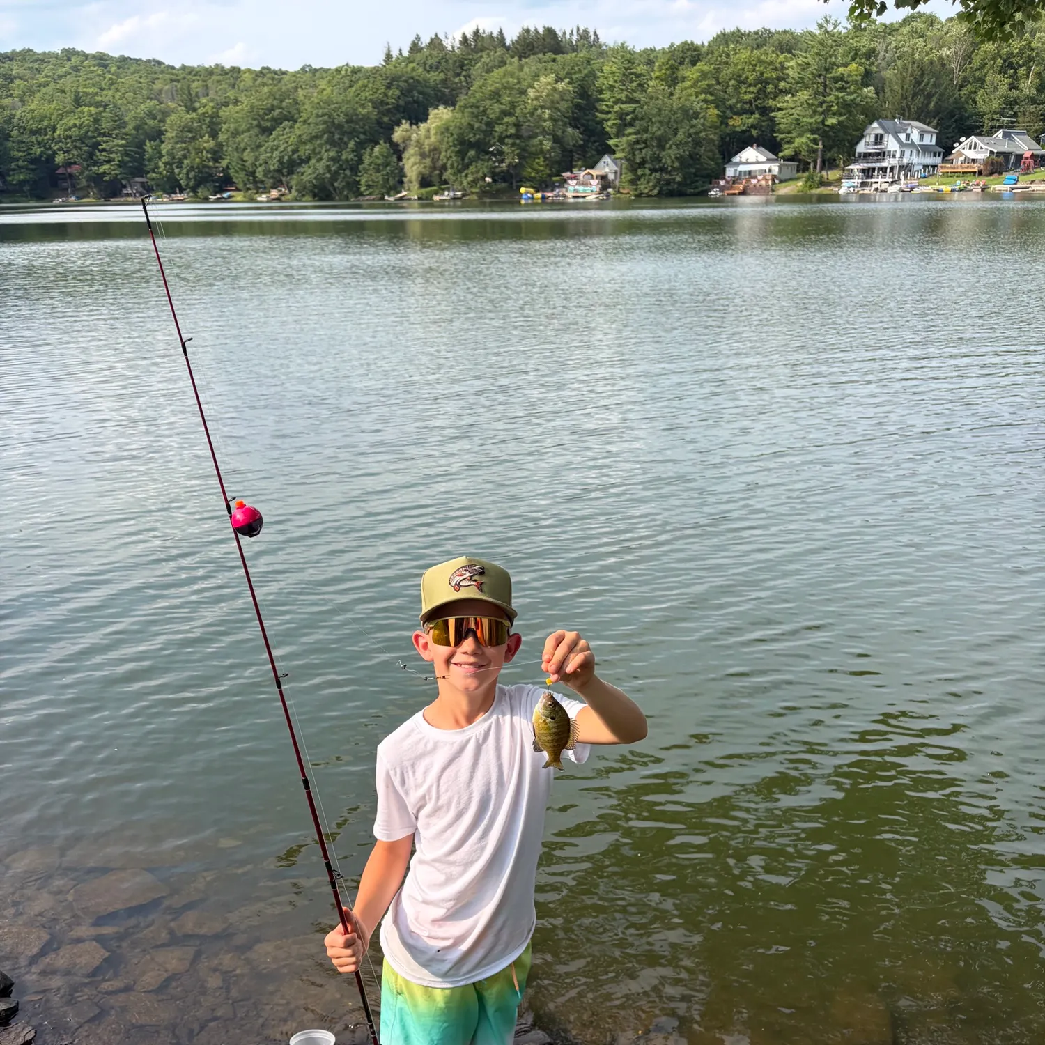 Greengill hybrid caught on Fishbrain