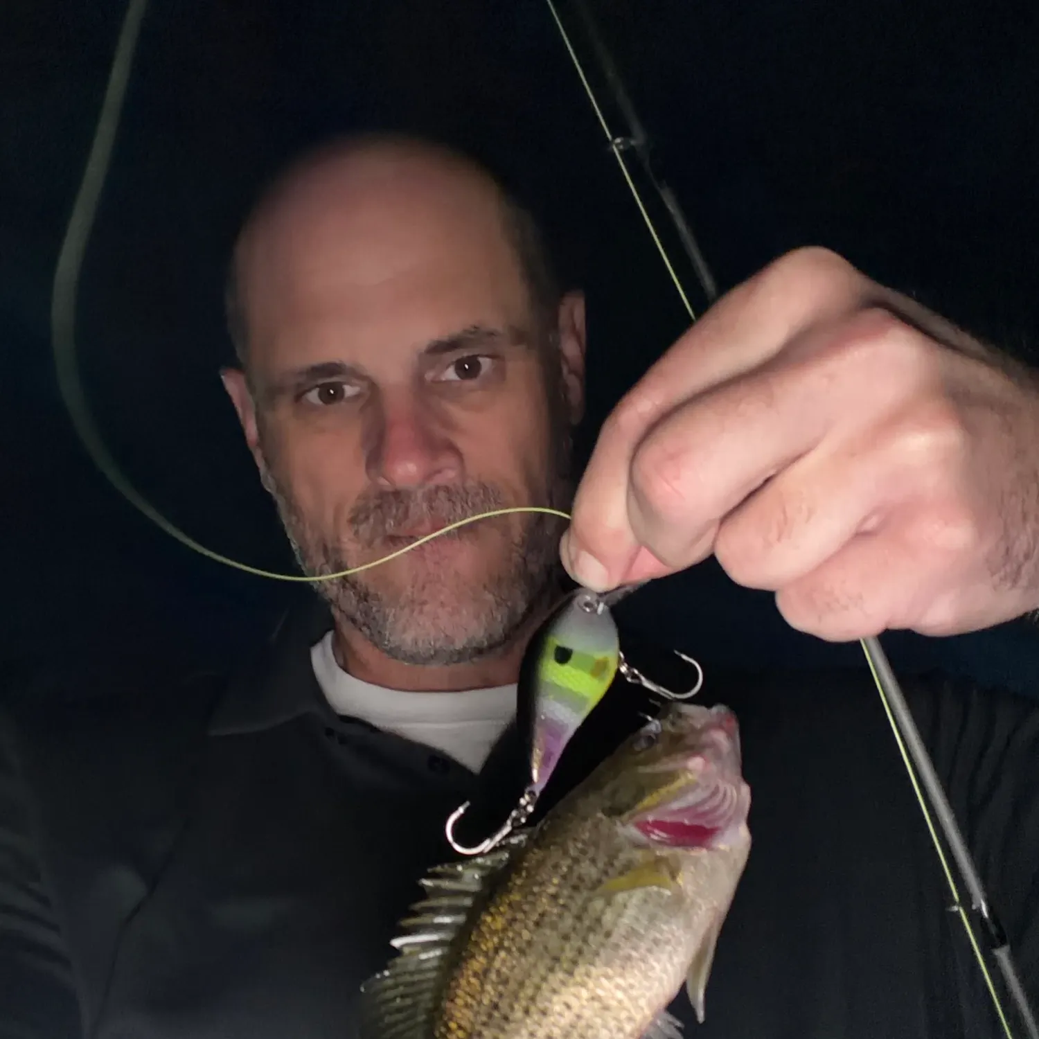 Rock bass caught on Fishbrain