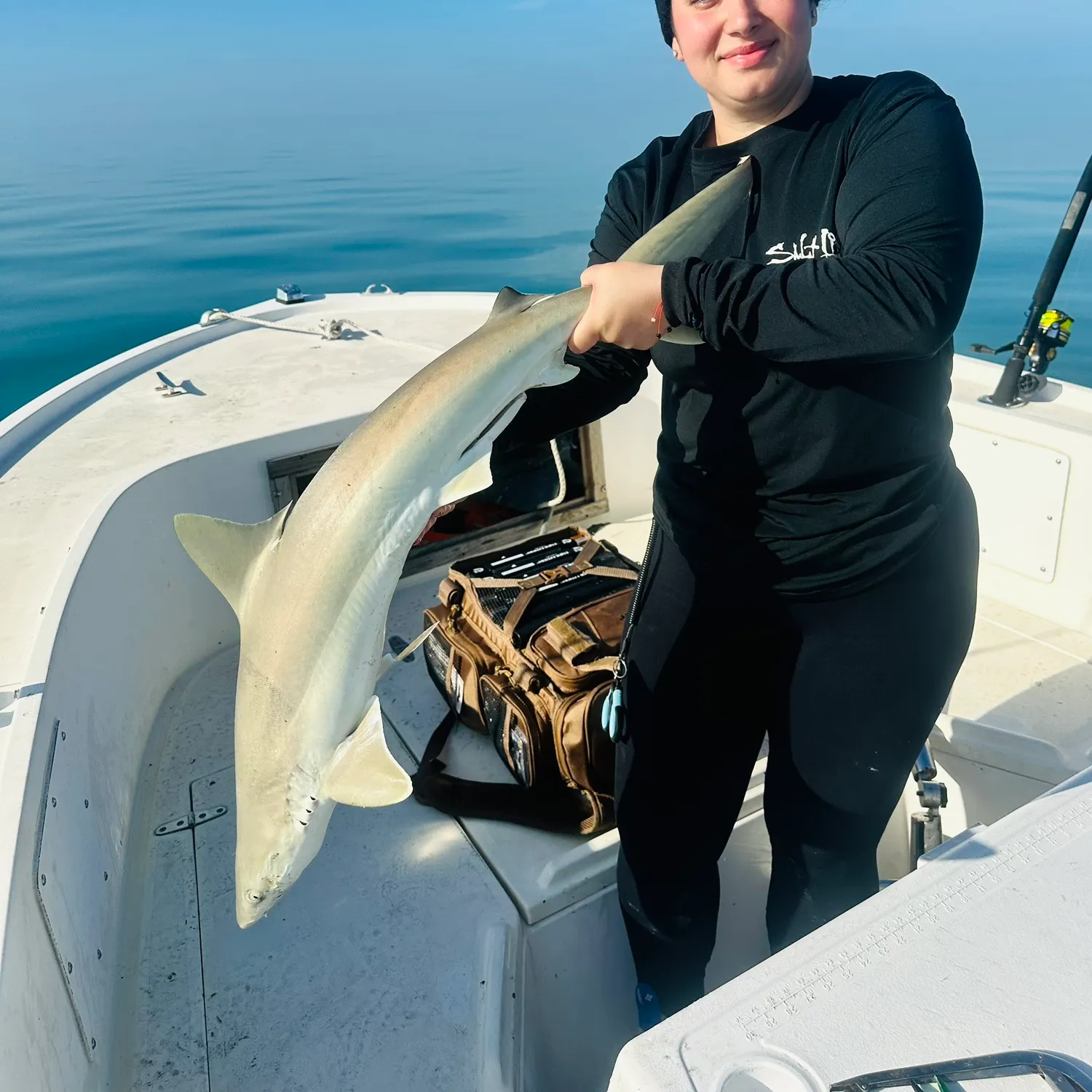 The most recent Blacknose shark catches on Fishbrain