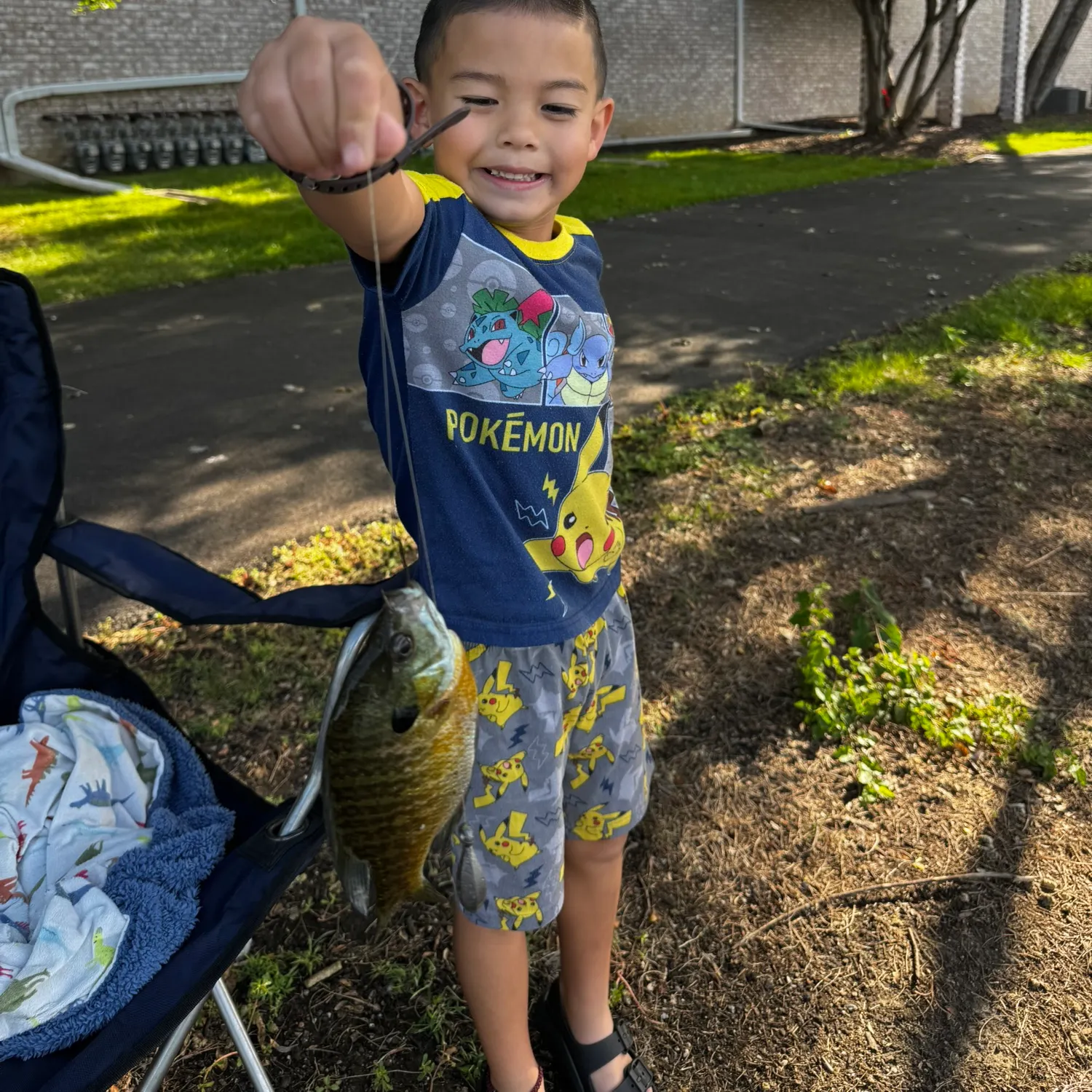 Bluegill caught on Fishbrain