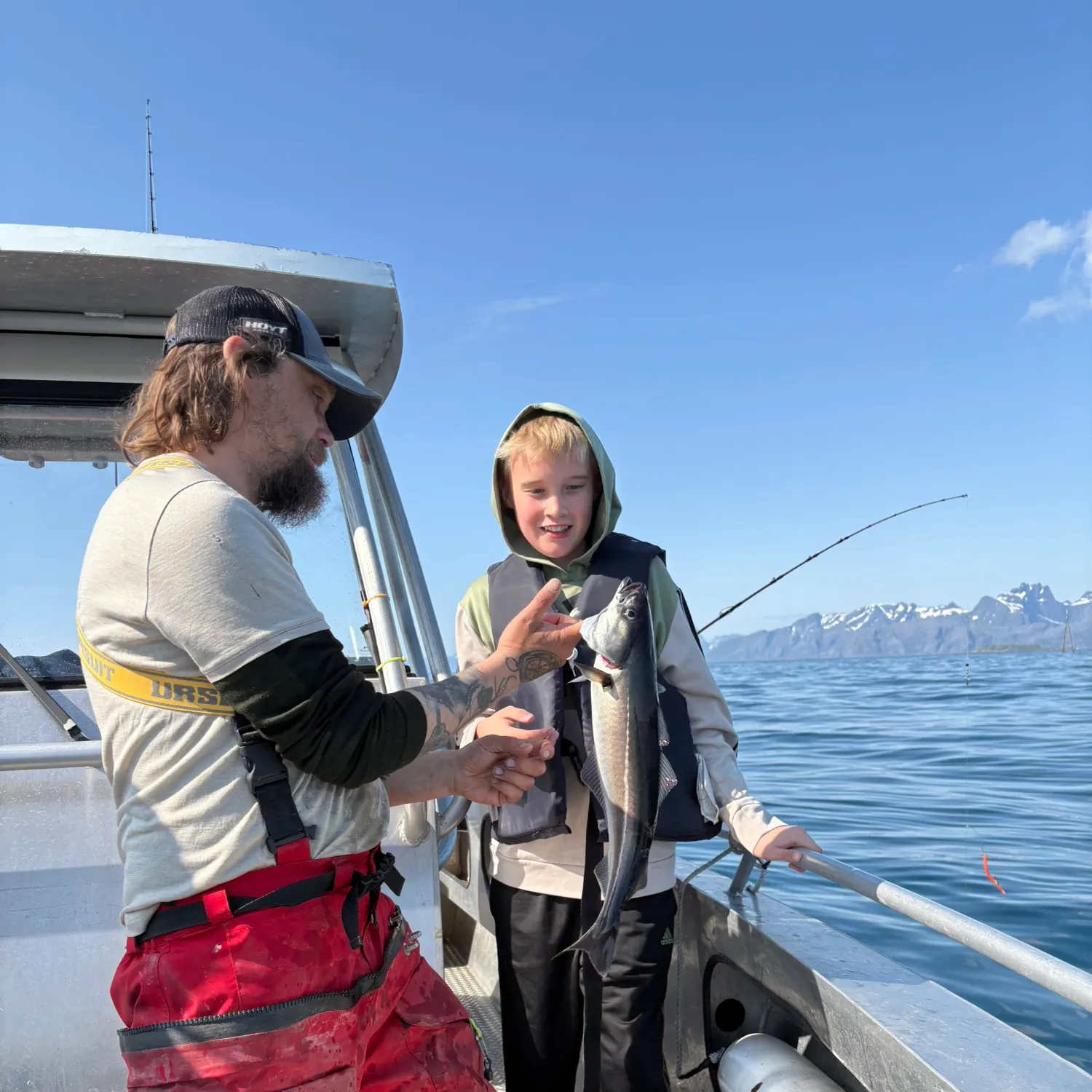 The most recent Atlantic pollock catches on Fishbrain