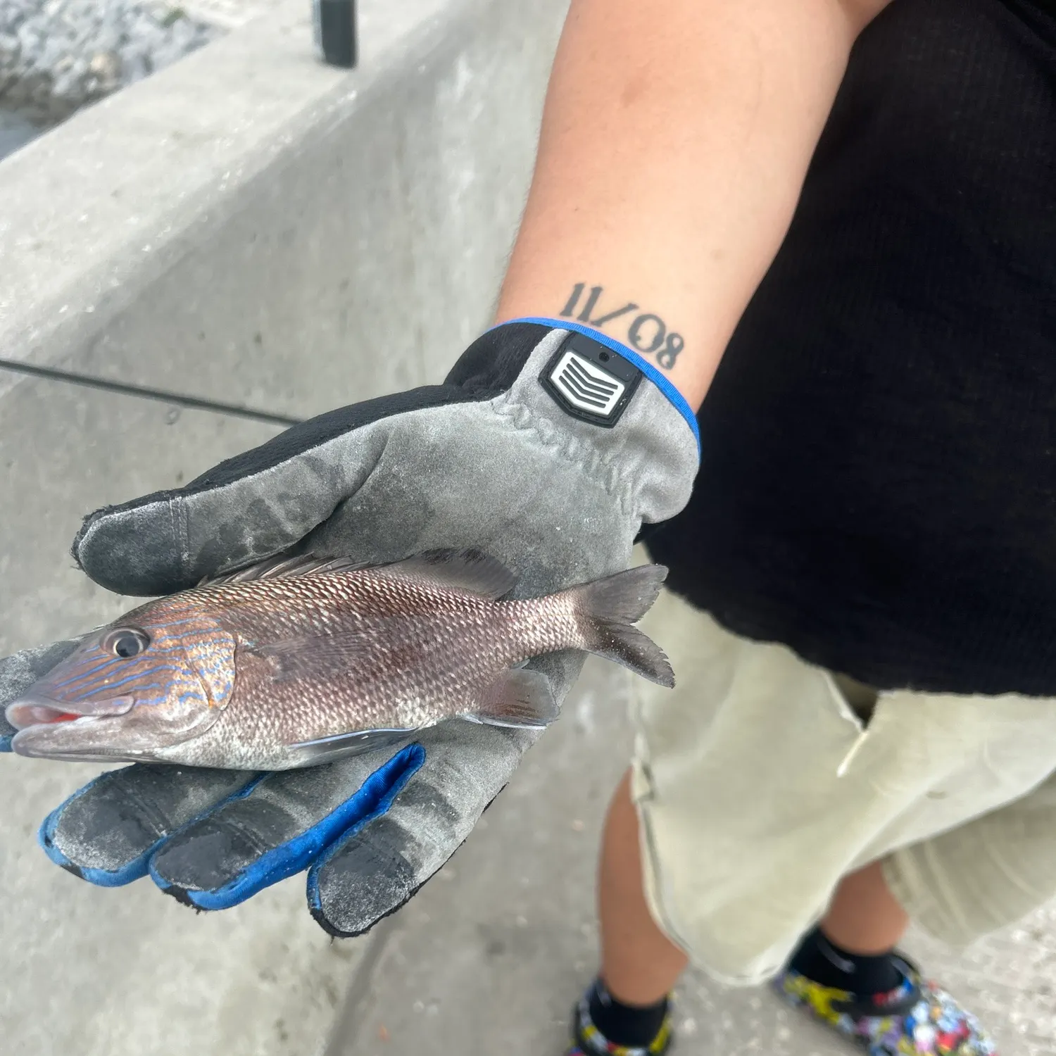 catch