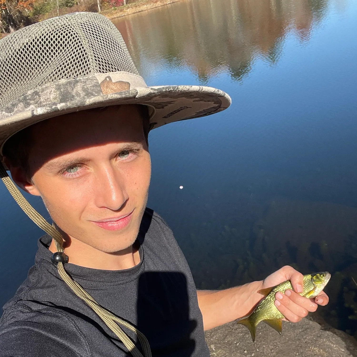 The most recent Golden shiner catches on Fishbrain