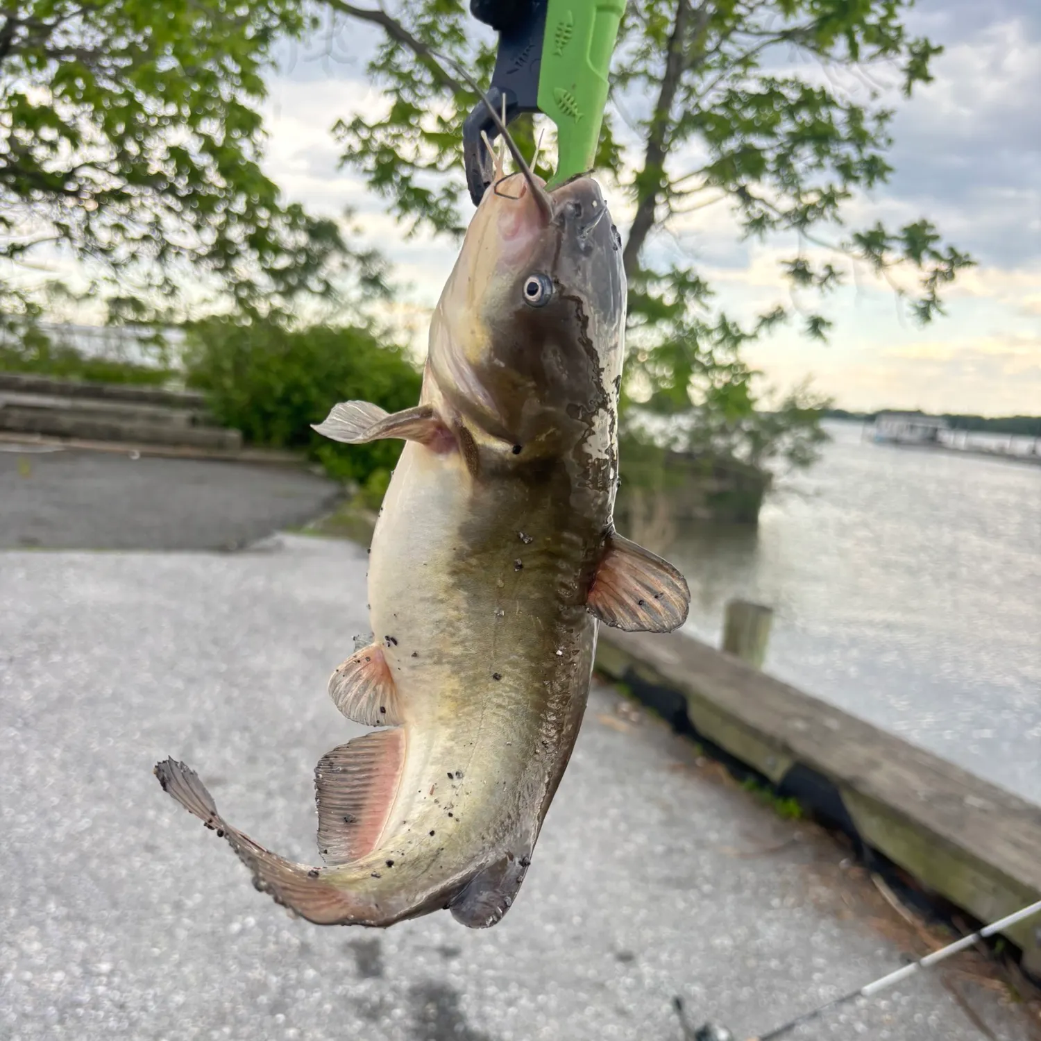 catch