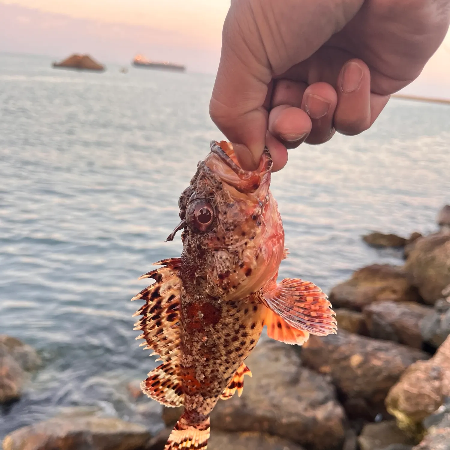 catch