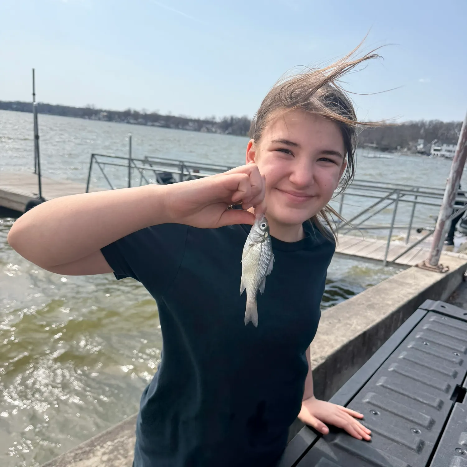 The most recent American gizzard shad catches on Fishbrain