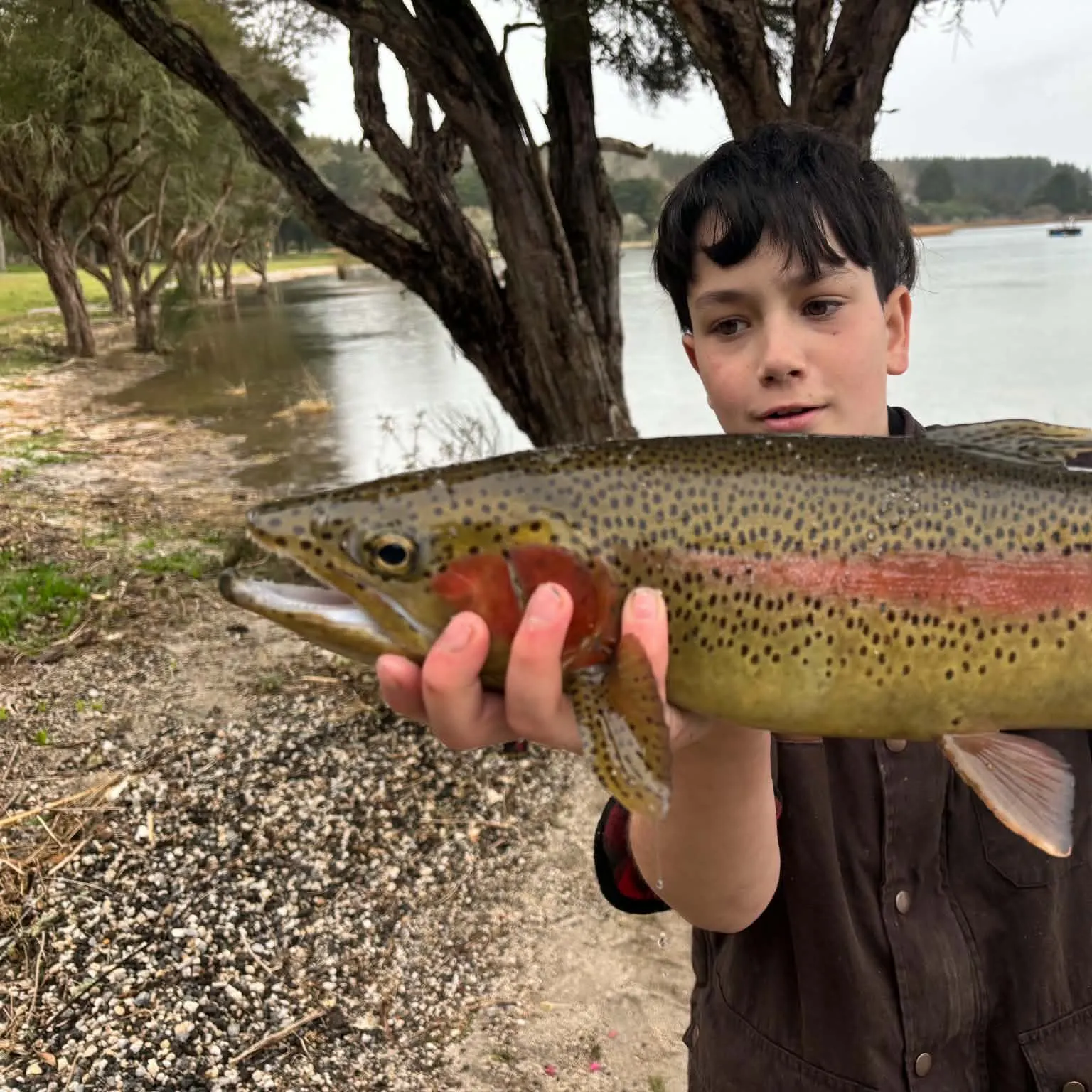 Rainbow trout caught on Fishbrain