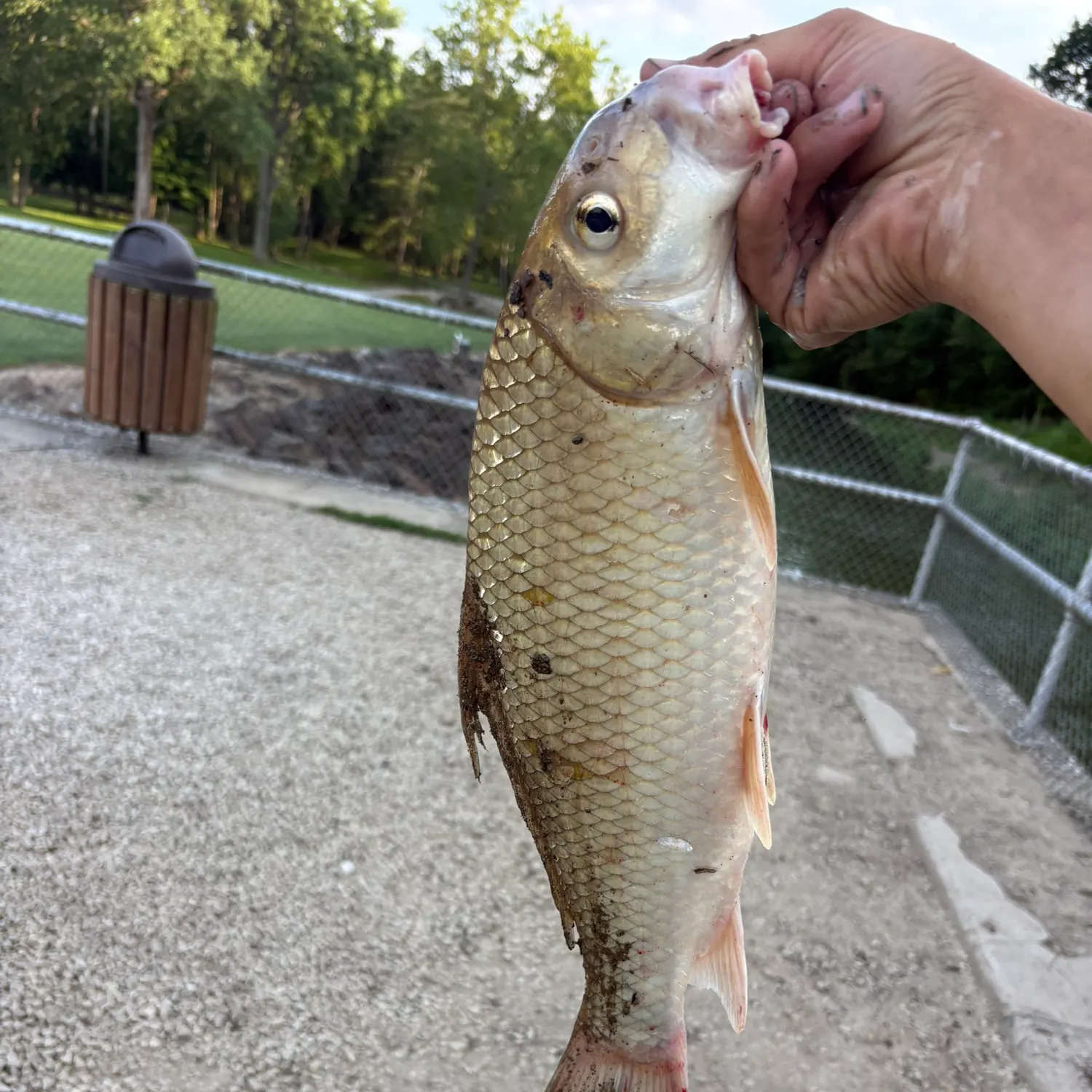 catch