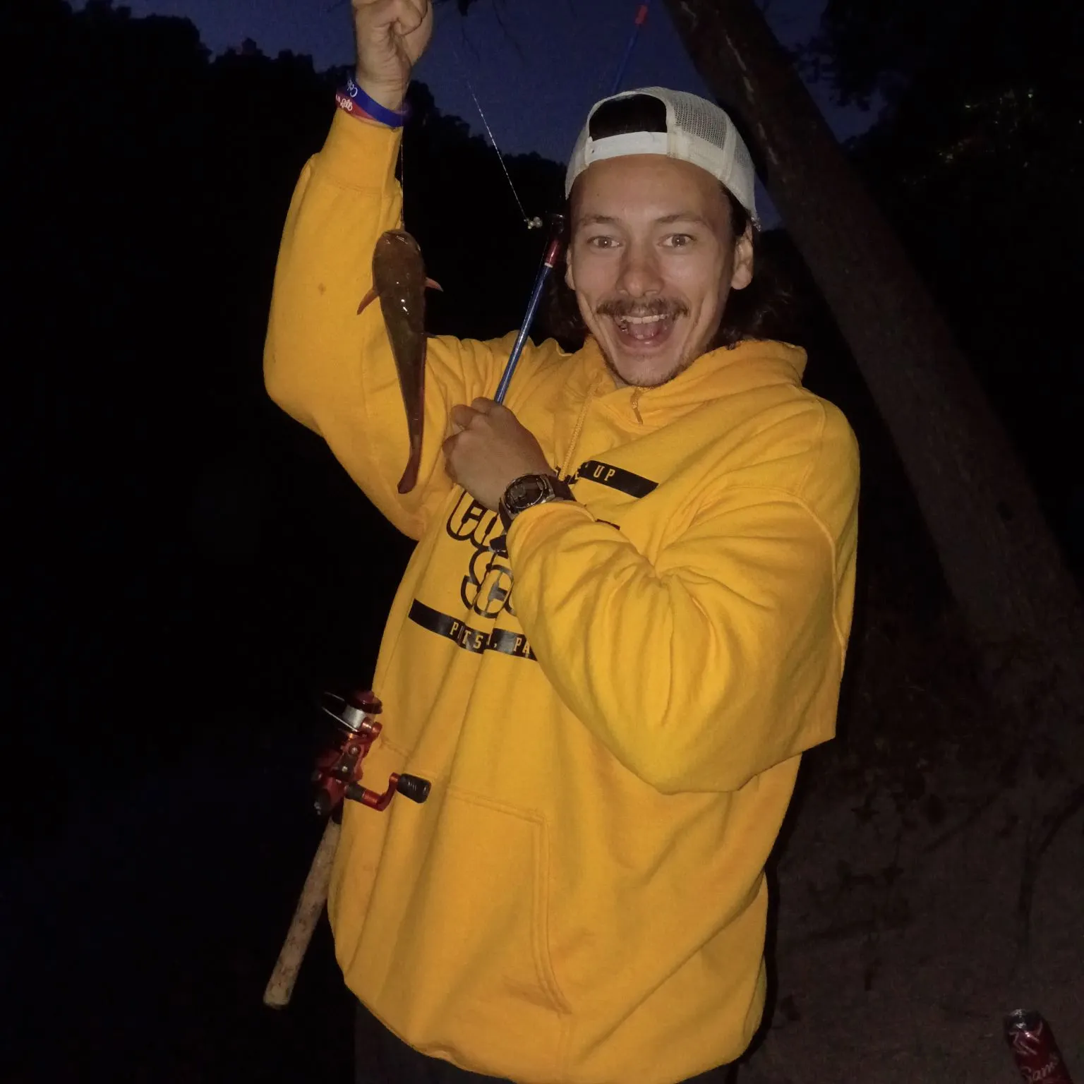 Yellow bullhead caught on Fishbrain