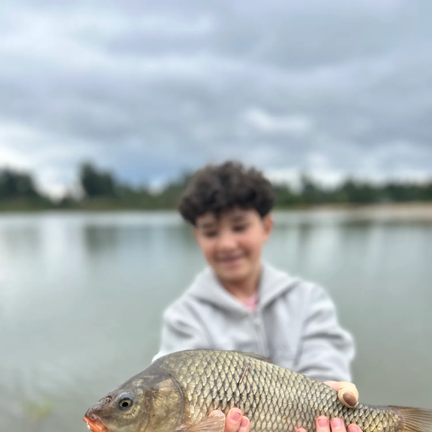 Common carp caught on Fishbrain