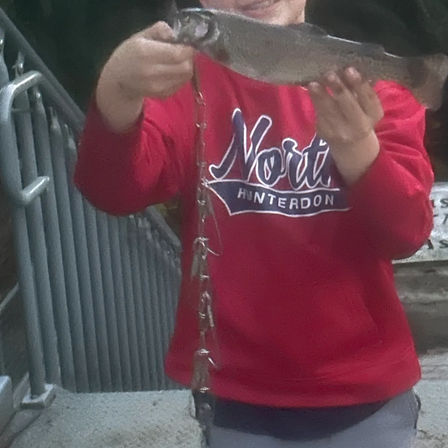 Fish caught on Fishbrain