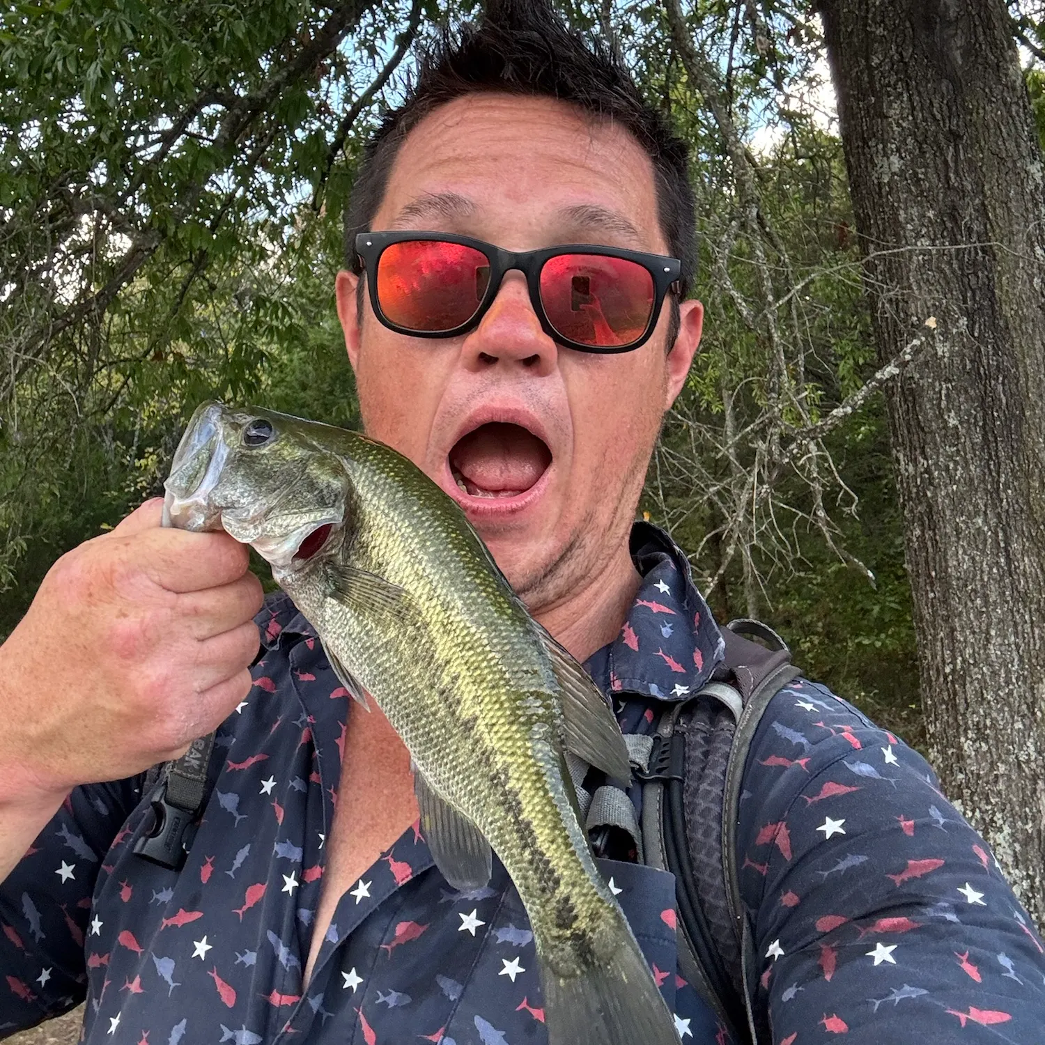 Largemouth bass caught on Fishbrain