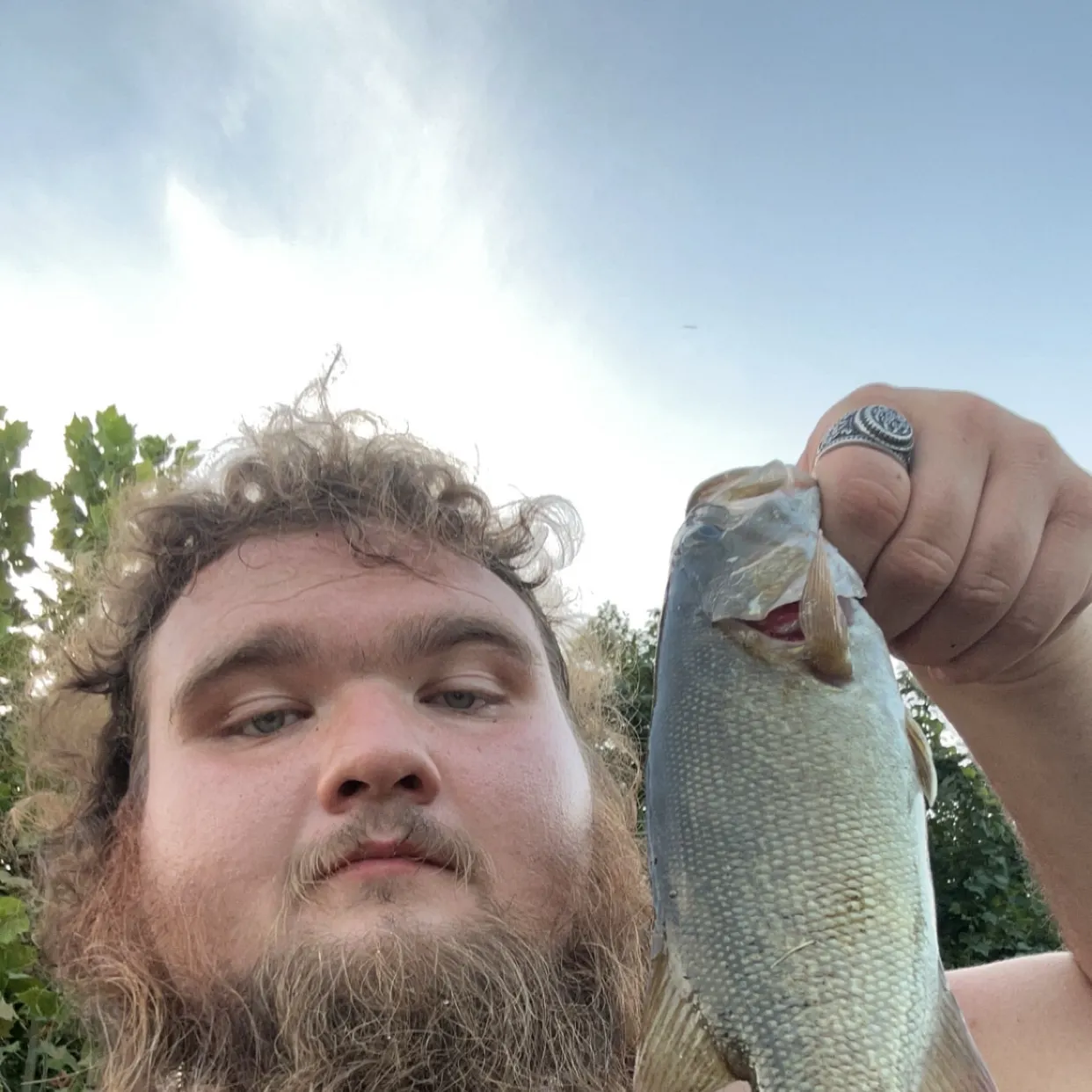 Smallmouth bass caught on Fishbrain