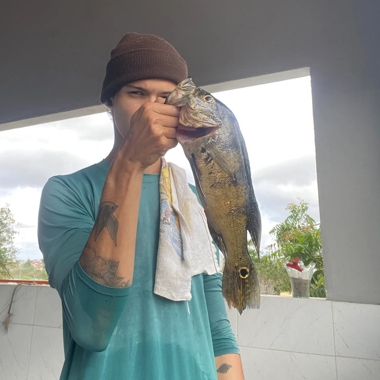 Butterfly peacock bass caught on Fishbrain