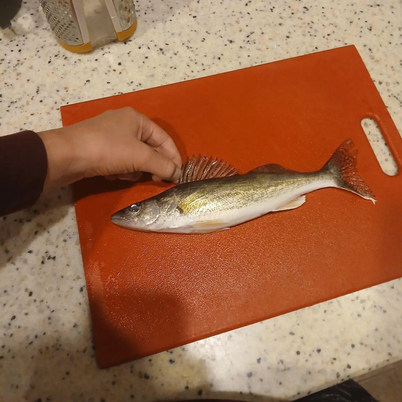 catch