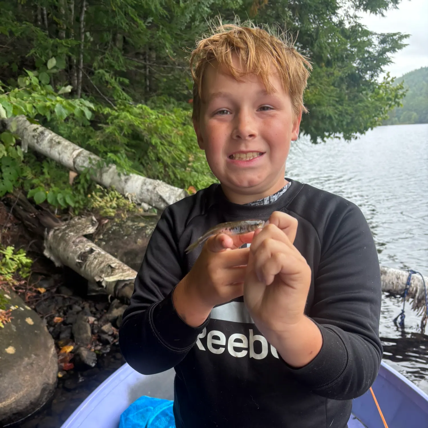 Common shiner caught on Fishbrain