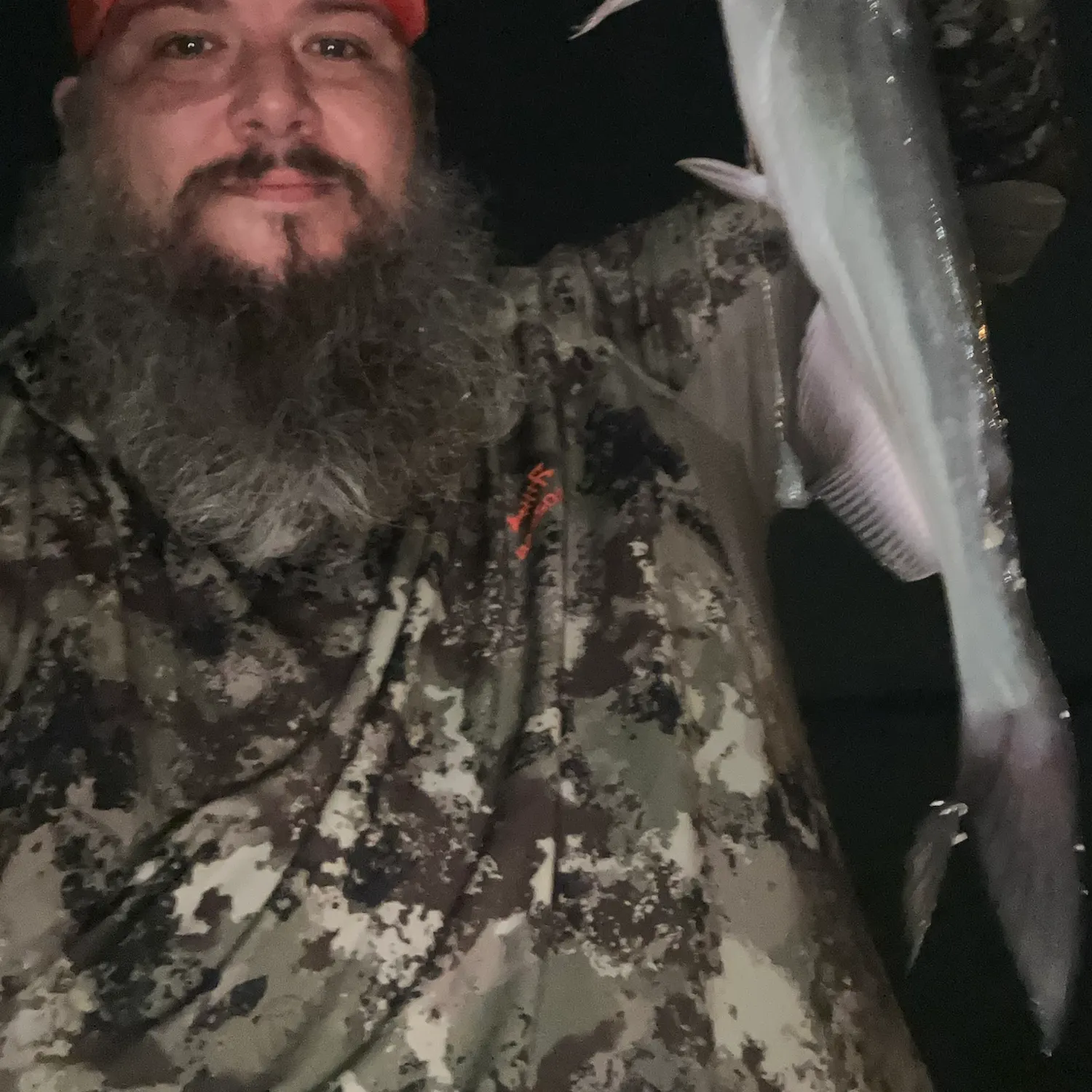 Blue catfish caught on Fishbrain