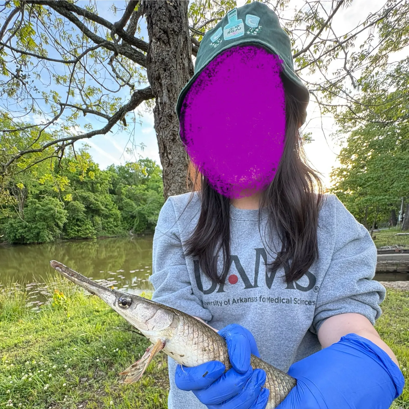 The most recent Shortnose gar catches on Fishbrain