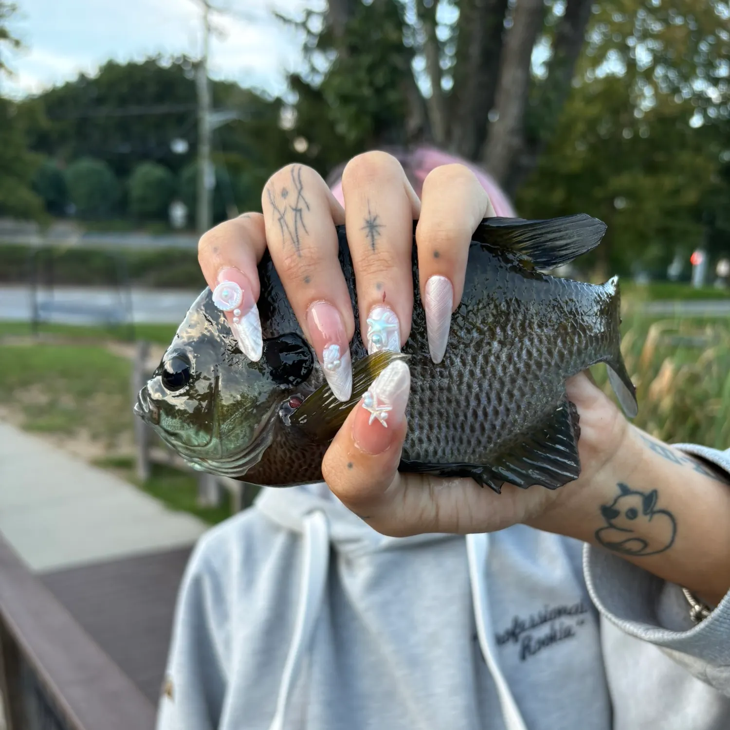 Bluegill caught on Fishbrain