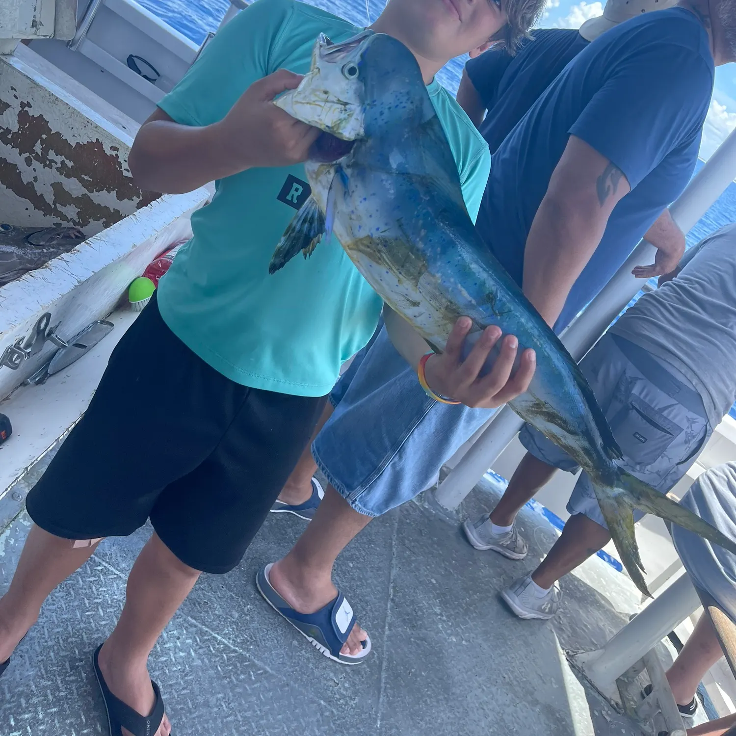 The most recent Common dolphinfish catches on Fishbrain