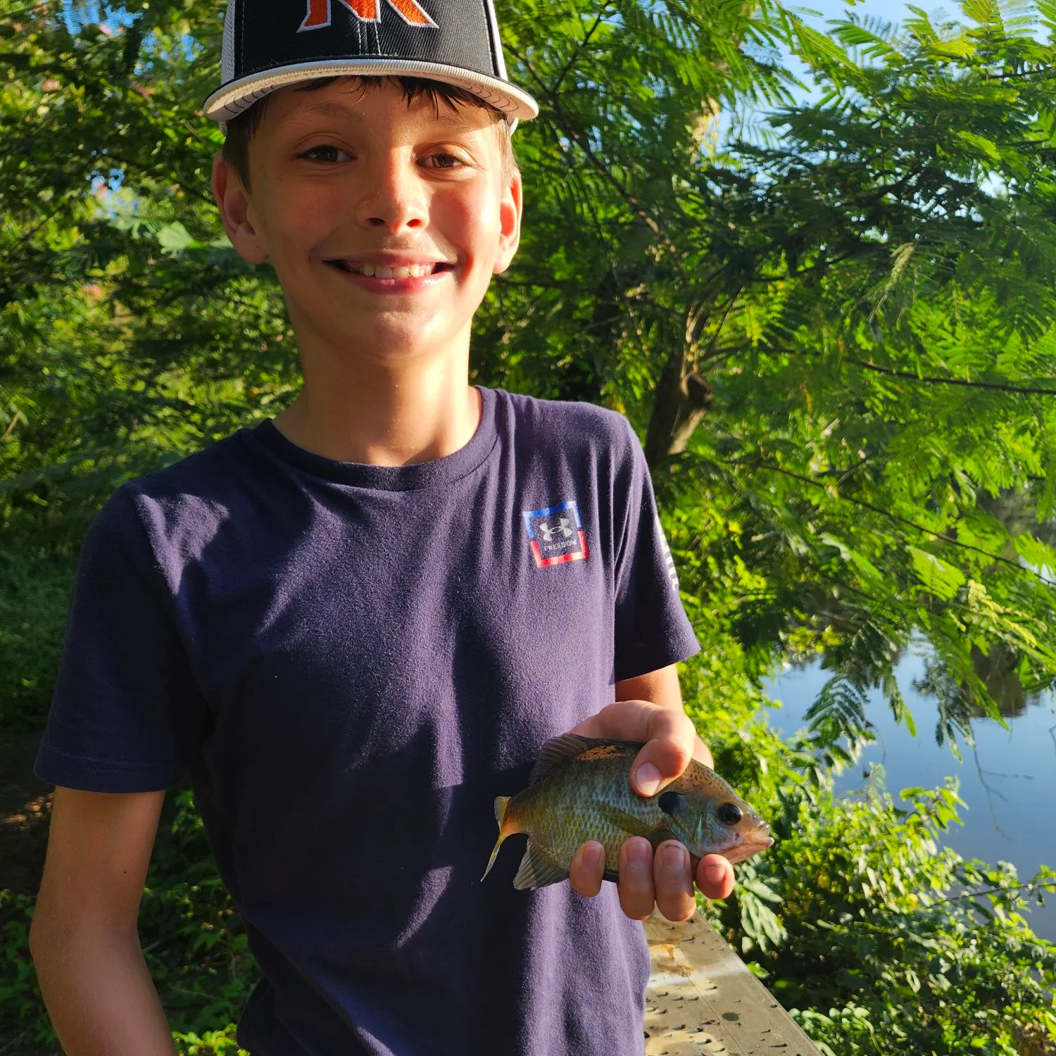 The most recent Bluegill catches on Fishbrain